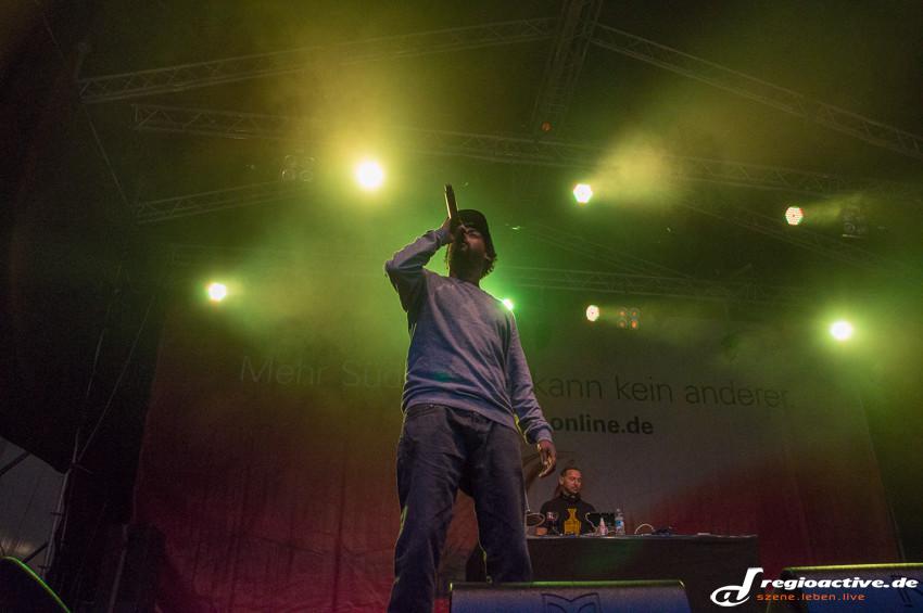 Afrob (live beim Schlossgrabenfest 2015, Darmstadt)